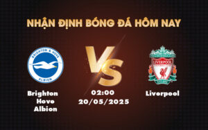 brighton hove albion liverpool 20 05 ngoai hang anh