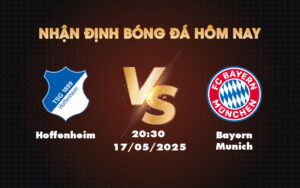 hoffenheim bayern munich 17 05 bundesliga