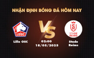 lille osc stade reims 18 05 ligue 1