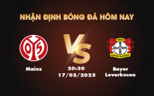 mainz bayer leverkusen 17 05 bundesliga