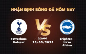 tottenham hotspur brighton hove albion 25 05 ngoai hang anh