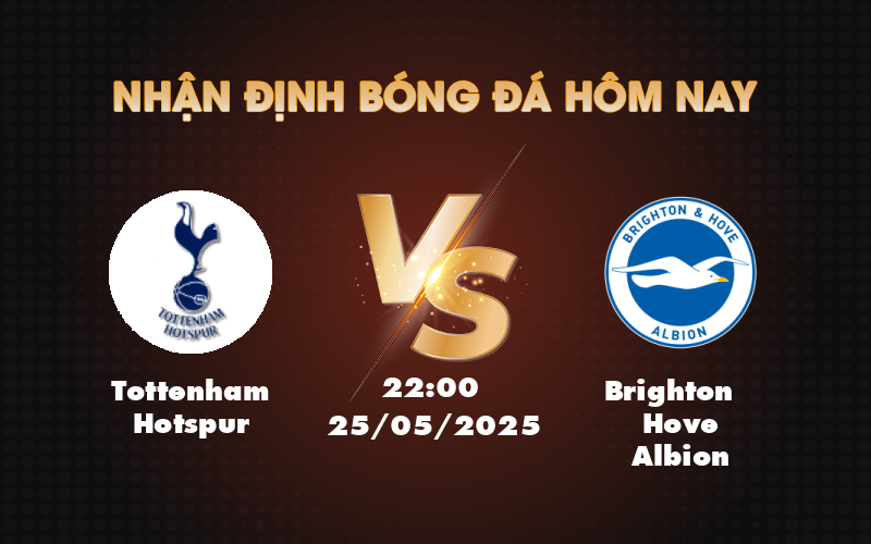 tottenham hotspur brighton hove albion 25 05 ngoai hang anh